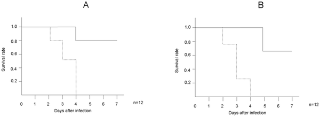 pyogenes, был измерен, и   Рисунок 2B   представляет значимое различие, наблюдаемое в размере поражения между обработанными Hainosankyuto и необработанными мышами ( p <0,05)