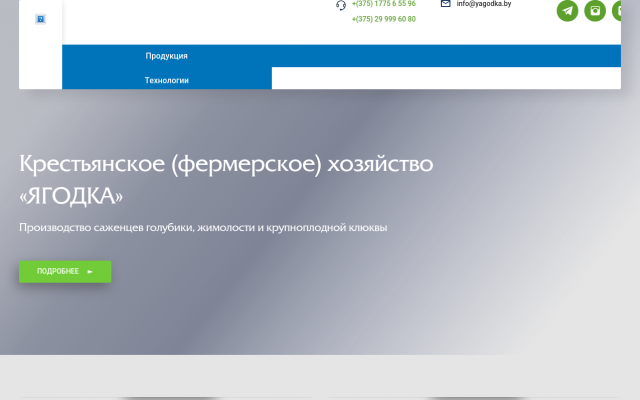 Саженцы Саженцы